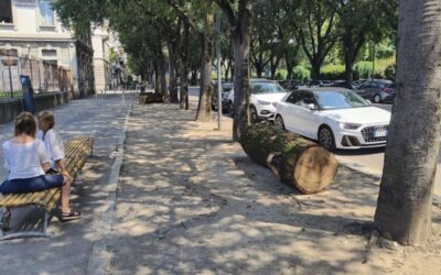 via caodre tronchi milano