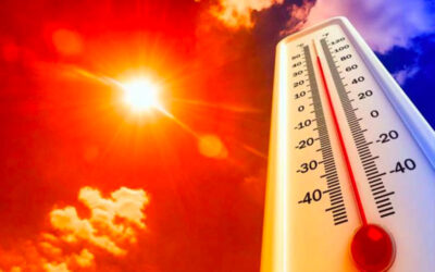 caldo