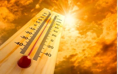 caldo