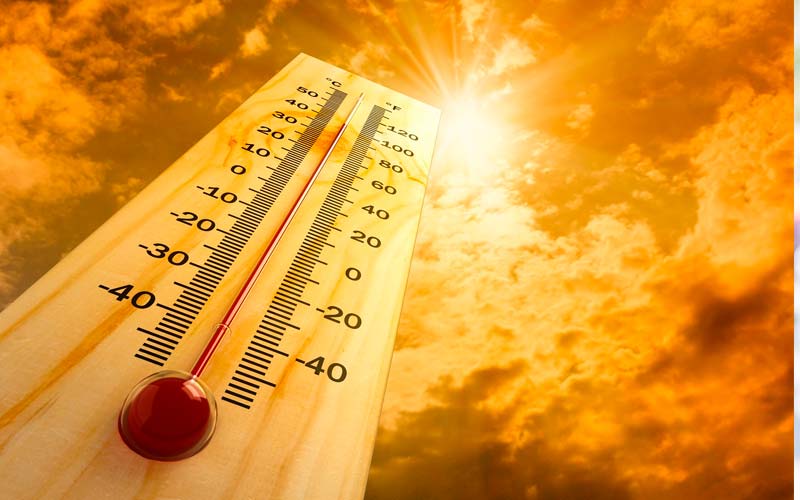 caldo