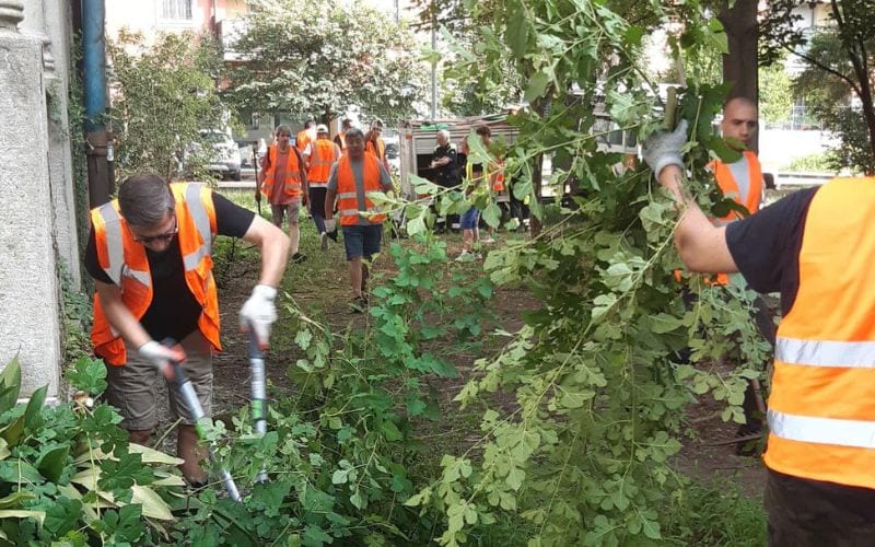 pulizia villa bi protezione civile