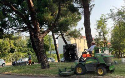sfalcio erba taglio erba