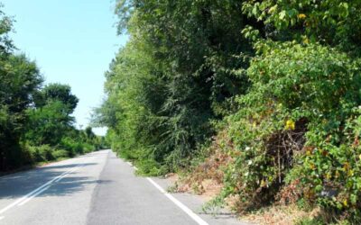 via fiume Lambro San Donato