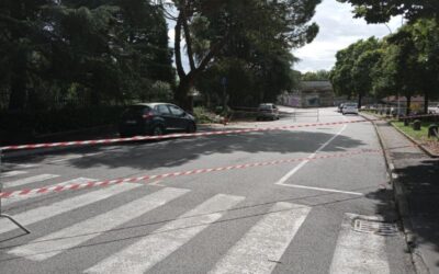 albero via pagani