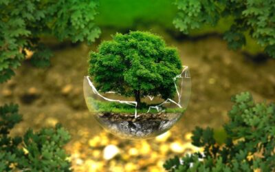 ambiente terra sostenibilità