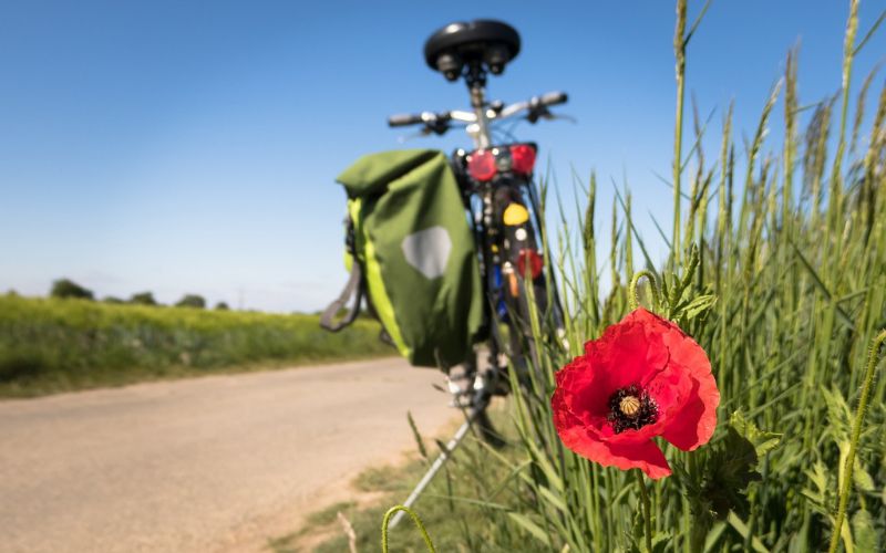 bici