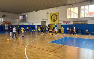 cassina basket