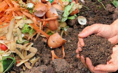 compost compostaggio corso