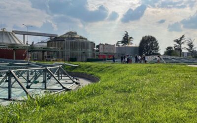 depuratore san rocco monza