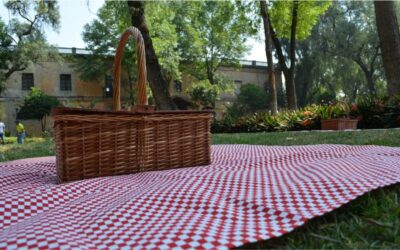 pic nic