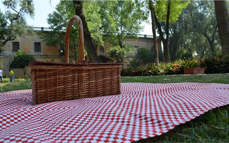 pic nic