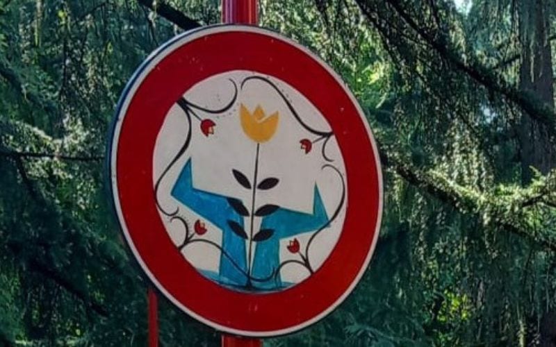 segrate concorso
