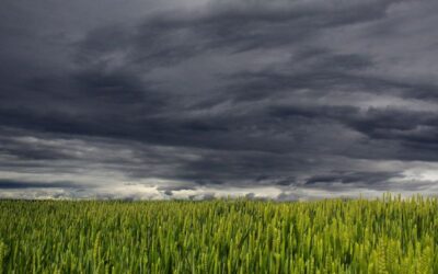temporale 3