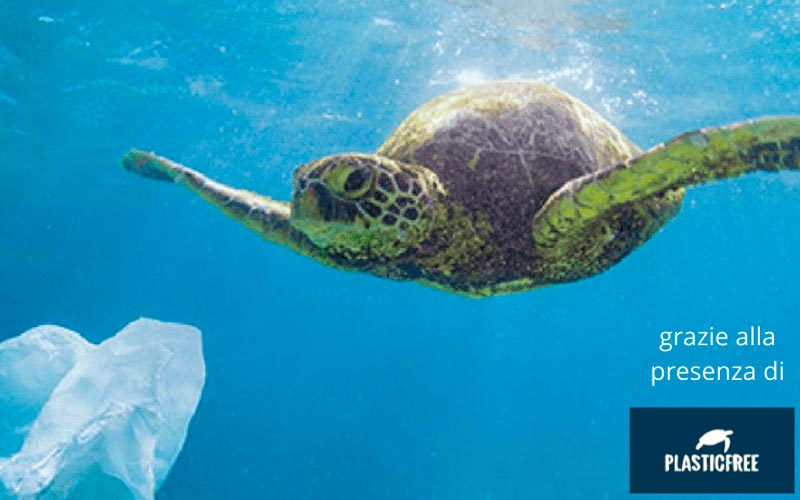 Plastic free Arcore