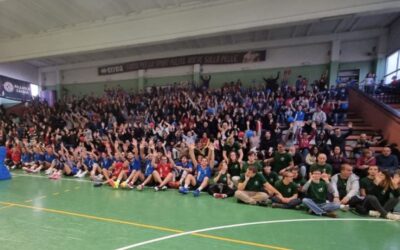 cassina volley