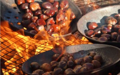 castagne