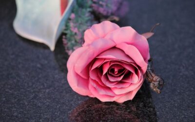 cimitero cimiteri festa dei morti