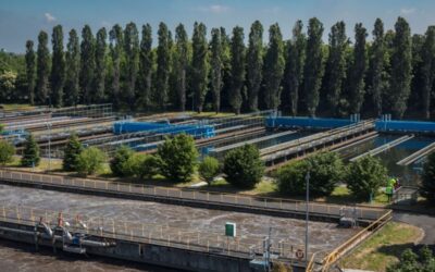 gruppo cap depuratore bresso niguarda
