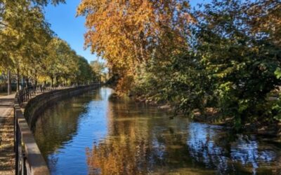 naviglio generale