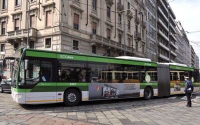 linea 973 bis
