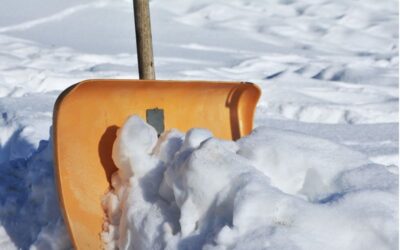 pala neve