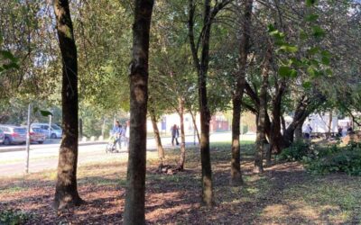 pulizia locate (2)