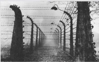 Shoah giorno della memoria