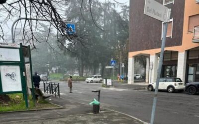 vandali cassina