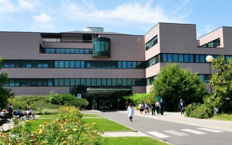 humanitas rozzano