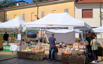 mercato rho