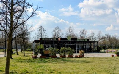 bar centroparco