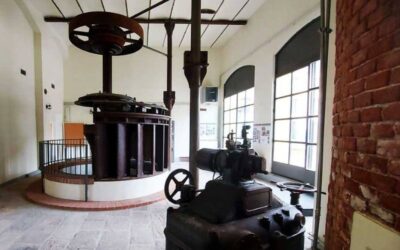 museo broggi 1