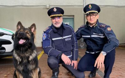 cinisello unità cinofila polizia locale