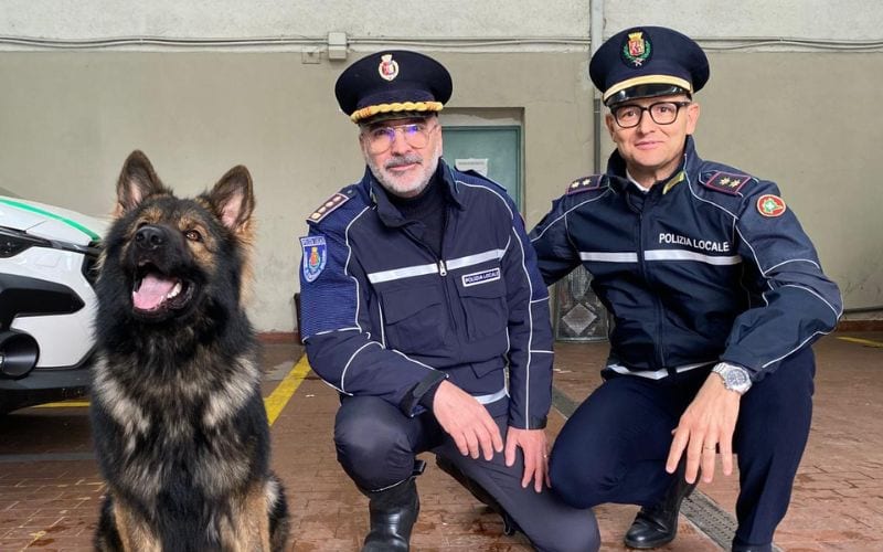 cinisello unità cinofila polizia locale
