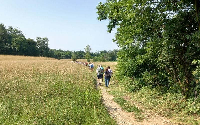 camminate camminare