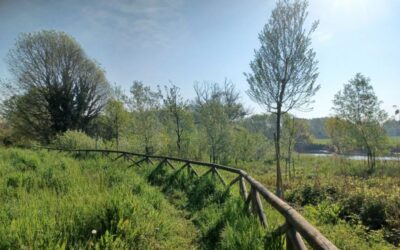 progetto lambro