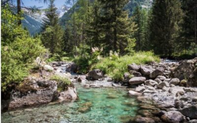 riserva naturale