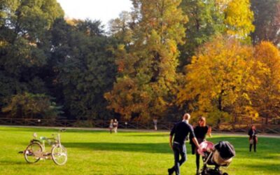 parco ok