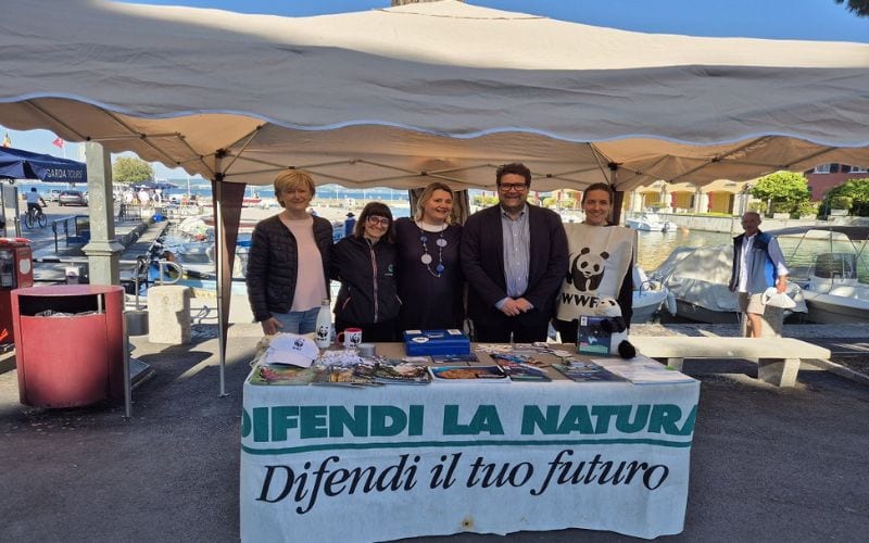 verde pulito