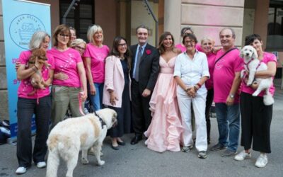 serata we breast