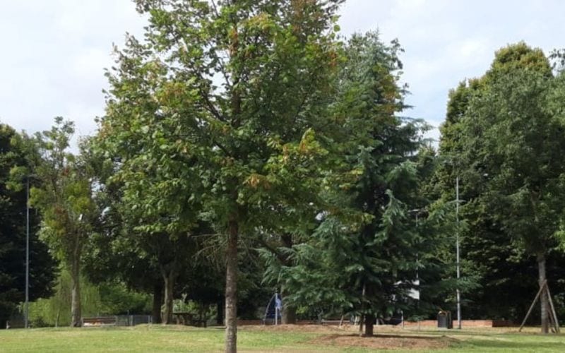 san donato lavori verde