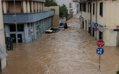 meda stato di calamità