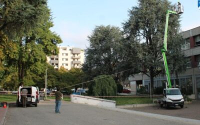 verde san donato