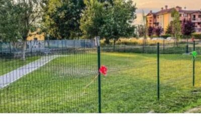 area cani tribiano