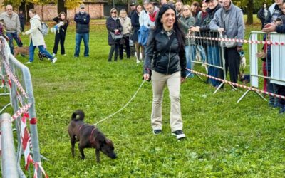 cascina grande rozzano animali