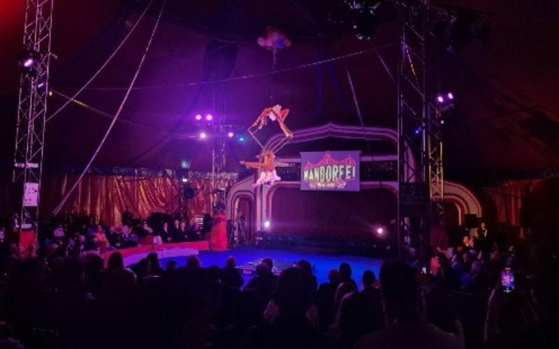 circo orfei