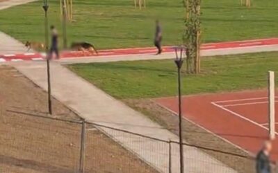 parco cormano cantiere