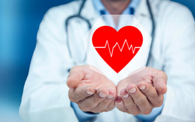 cuore visita