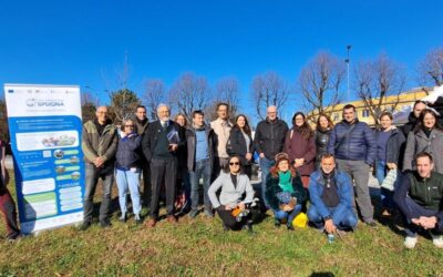 rho giornata albero