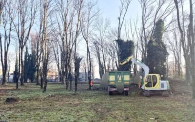 lavori bosco pantigliate